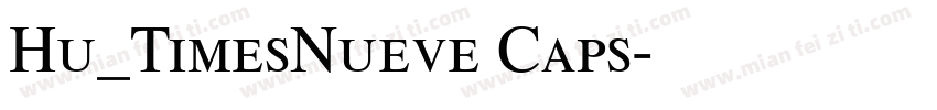 Hu_TimesNueve Caps字体转换
